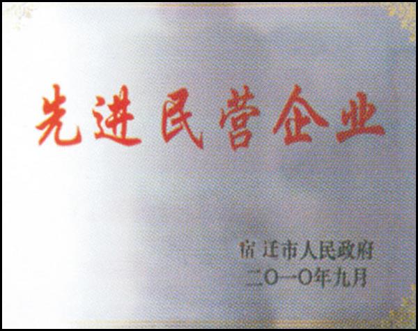 先進民營企業